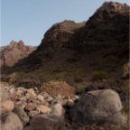 El Cabrito (Gomera)_101