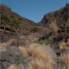 El Cabrito (Gomera)_105
