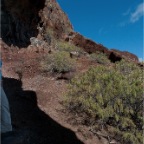 La Gomera_050