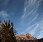 La Gomera_062